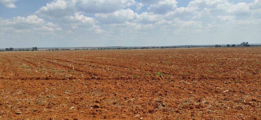 Commercial Property for Sale in Schweizer Reneke North West